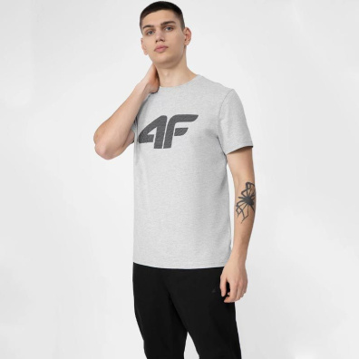 Μονόχρωμο T-shirt 4F  H4L22-TSM353-27M Ανοιχτό Γκρι