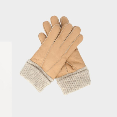 Δερμάτινα Γάντια Whistler Desiree Shearling  W234491-1066 Καφέ